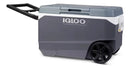 Hielera Igloo Latitud
