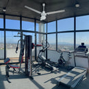 Ventilador Prometheus 56" Con Luz Blanco