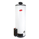 Calentador de agua 80 Lts gas G-20